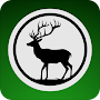 Deer Hunting Calls & Sounds