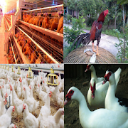 Top 38 News & Magazines Apps Like The Right Way to Farm Poultry - Best Alternatives