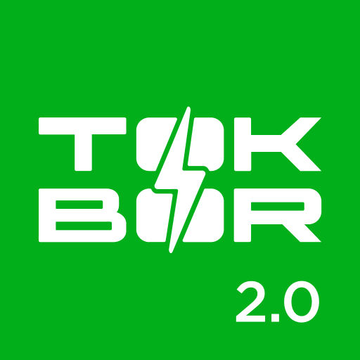 TOKBOR logo