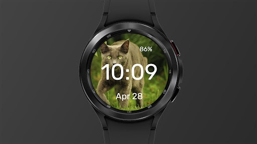 Predator - Watch Face screenshot 2