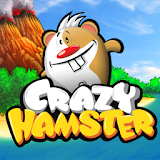 Crazy Hamster icon