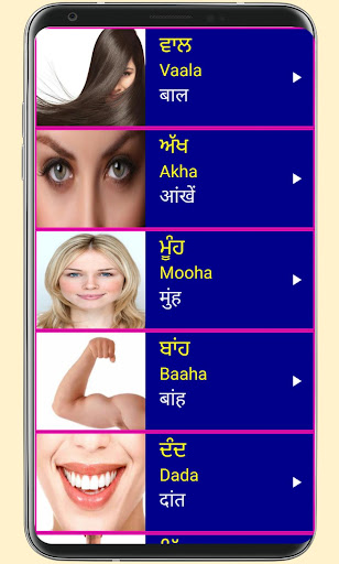 Learn Punjabi From Hindi Screen 3