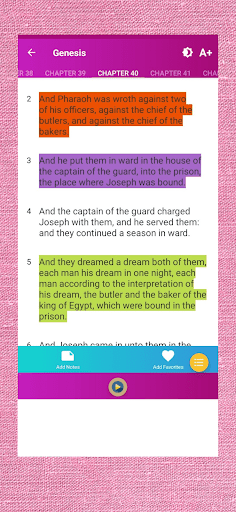 Bible for Women Screen 3