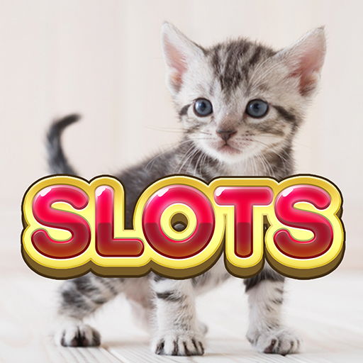 Chilli Pokies - Play Free Slot Machines In Casinos - Gadget Voize Slot