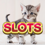 Cover Image of Download Slots - Cats Lovers 1.36.00 APK