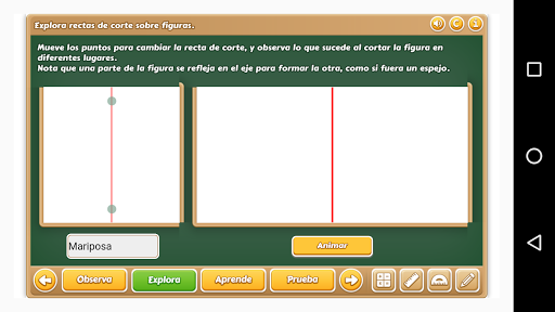 Simetría de Figuras 6 Primaria