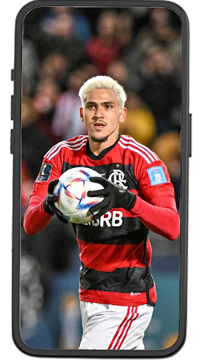 Pedro Flamengo Wallpapers Screen 2