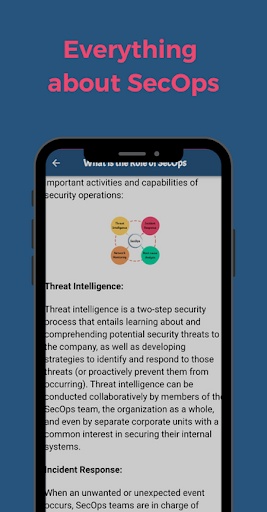 SecOps Meaning Screen 3