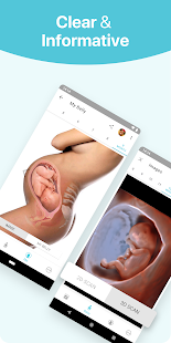 Pregnancy + | tracker app, week by week in 3D Screenshot