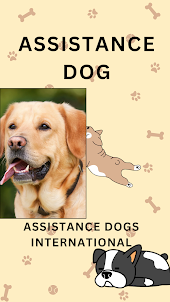 Assistance dog