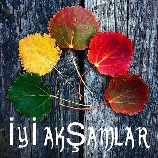 Iyi akşamlar selamlar logo