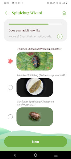 Twolined Spittlebug Tool Screen 3