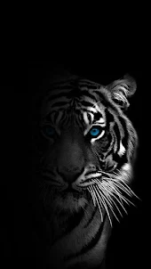 Black tiger wallpaper