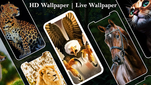 Android application Zodiac Sign Wallpaper HD Live screenshort