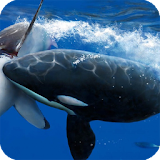Orca Wallpaper icon