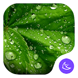 Green-APUS Launcher theme icon