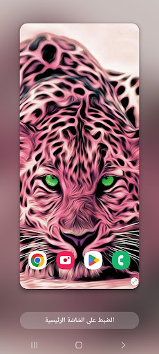 2022 Wallpapers Tigers (1) 4K Screen 3