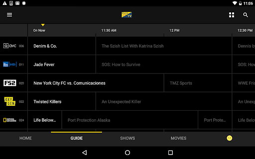 Screenshot of DotteTV