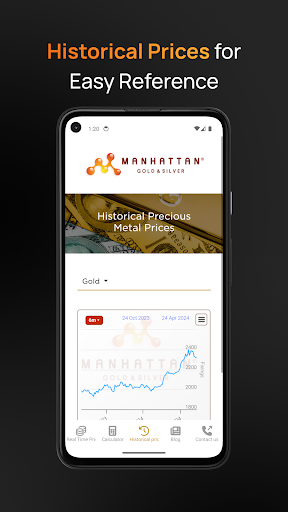 Precious Metal Prices Screen 3