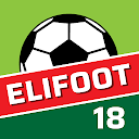 Elifoot 18 PRO icono