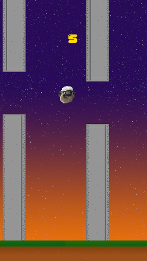 Jumpy Dog Screen 2