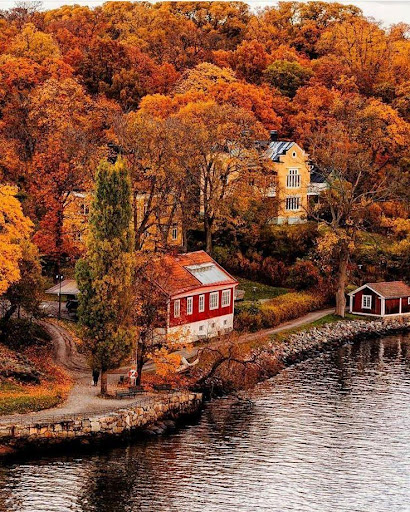 Android application Jigsaw Puzzles Real Jigsaws screenshort