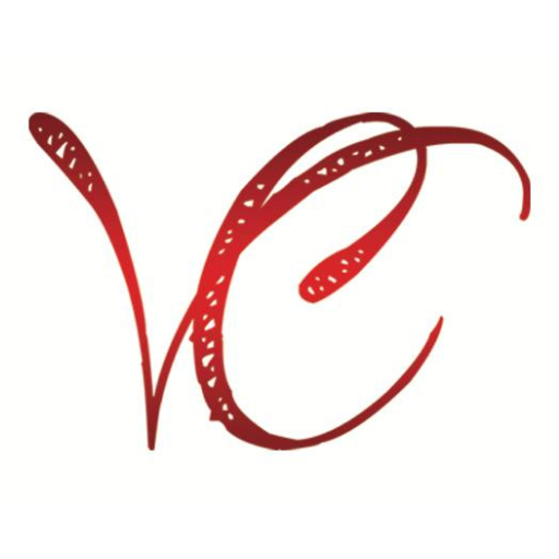 Vignesh Computer Education logo