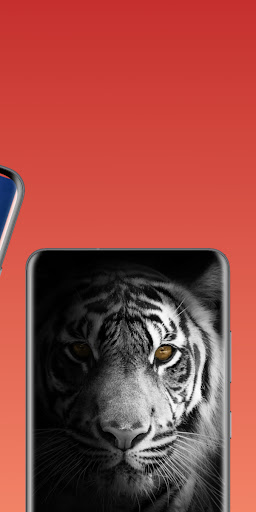 Tiger wallpaper Screen 2