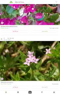 PlantNet Plant Identification screenshots 7