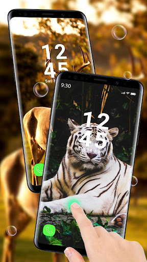 Cute Animal APUS Live Wallpape