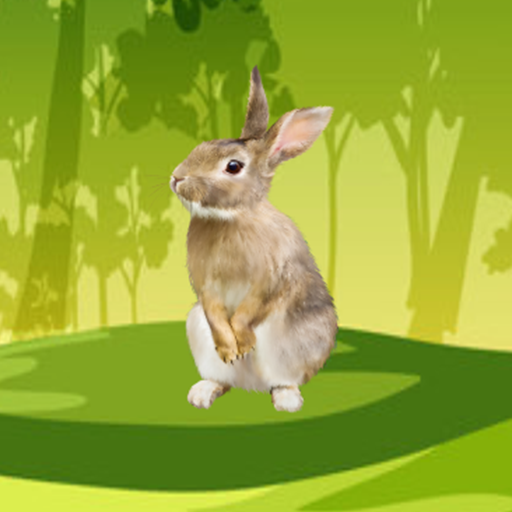 Rabbit Sounds 3D Simulator