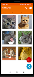 Meow Maker: Cat Sounds for Cat スクリーンショット