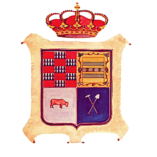Degaña Informa logo