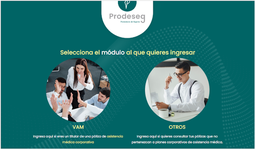 Prodeseg Seguros Screen 3