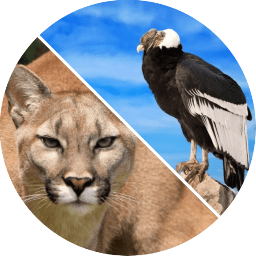 El Calafate Tour logo
