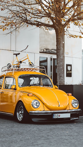 Volkswagen Beetle Wallpaper