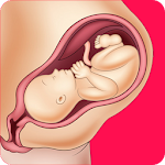 Cover Image of Herunterladen Informationen zu Z] Schwangerschaft und Geburt  APK