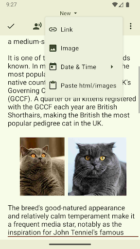 Screenshot of Text Editor
