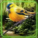 Cover Image of Download Birds Gallery Live Wallpaper  APK