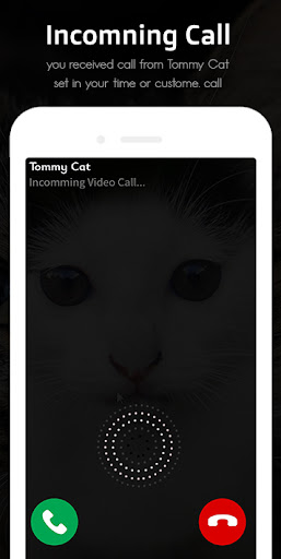 Cat Fake Video Call prank Chat Screen 3