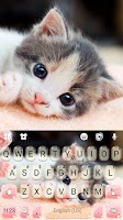 screenshot of Cute Kitty 2 Keyboard Backgrou