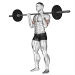 Cover Image of Download biceps  APK