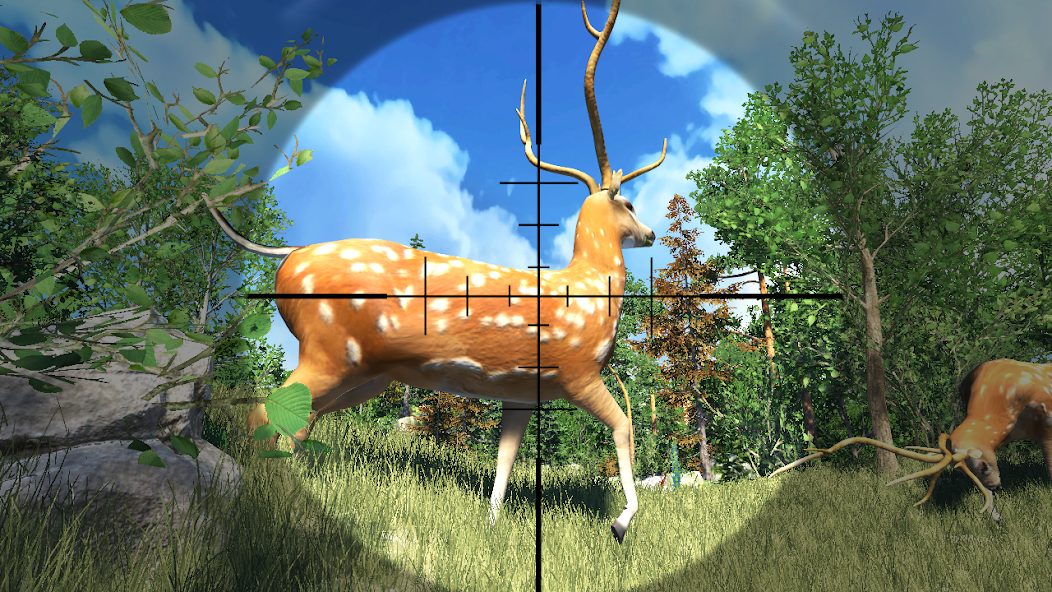 American Hunting 4x4: Deer 1.11 APK + Mod (Unlimited money) for Android
