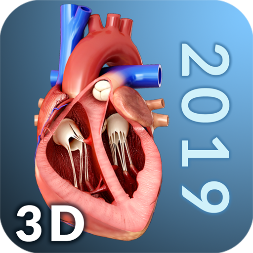 Heart Anatomy Pro. - Apps on Google Play