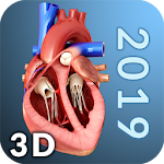 Cover Image of 下载 Heart Anatomy Pro.  APK