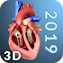 Heart Anatomy Pro. 2.3