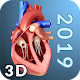 Heart Anatomy Pro. Descarga en Windows