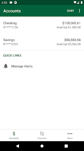 Turtle Mountain State Bank Screen 3