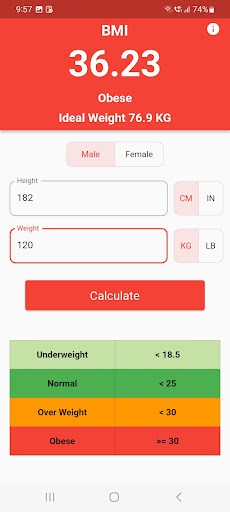 BMI Calculator Screen 3