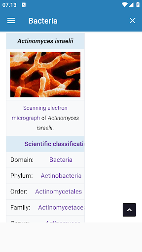 Bacteria Screen 2